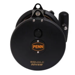 PENN Squall 50 VSW Lever Drag And Bluewater Carnage Game Combo 5ft 7in 24kg 1pc -Penn Shop 1279859 e
