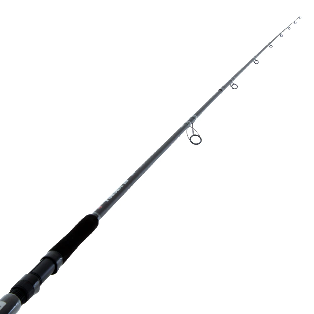 PENN Pursuit 12023H Spinning Surf Rod 12ft 8-15kg 2pc