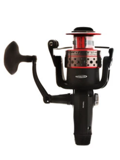 Penn Shop -Penn Shop 1364048 5 1 2