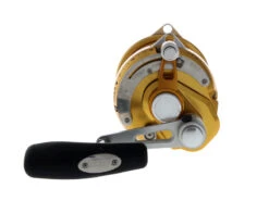 PENN International 50 VISX 2-Speed Game Reel Gold 12 PENN International 50 VISX 2-Speed Game Reel Gold -Penn Shop 1370782 2 1