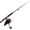 PENN Fierce IV 8000LL Live Liner Strayline Combo 7ft 12-20kg 2pc 2 PENN Fierce IV 8000LL Live Liner Strayline Combo 7ft 12-20kg 2pc -Penn Shop 185296 6