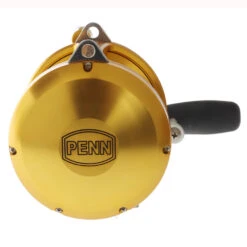 PENN International 70VIS 2-Speed Game Reel Gold -Penn Shop 98940 6 n