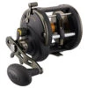 PENN Squall II 30 Level Wind Reel -Penn Shop penn squall ii 30
